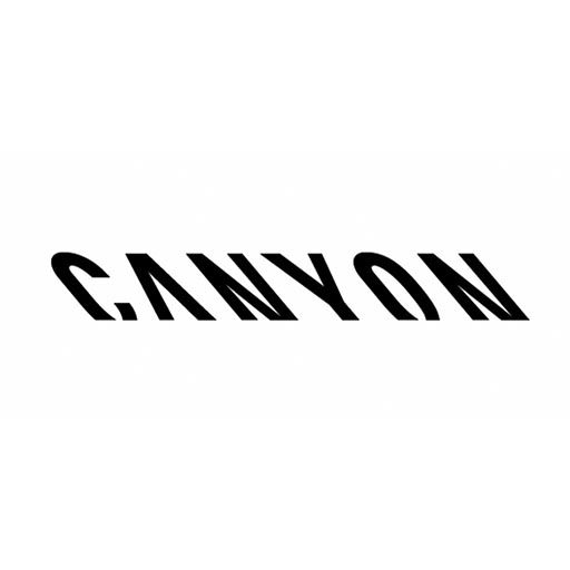 Syncwave-client-logoArtboard 1_2 canyon logo